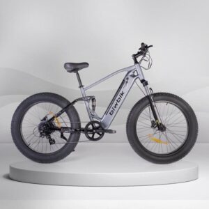 Vélo électrique Biwbik SANDY