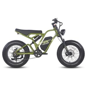 Fafrees F20 ultra 750W 20" Fat Bike