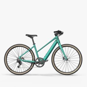 Fiido C22 Gravel Vélo électrique