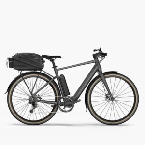 Fiido E-Gravel C21 vélo électrique