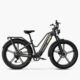 Fiido Titan Vélo électrique Cross & Randonnée - Standard 135km/84mi de portée (une seule batterie)