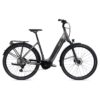 Giant DailyTour E+ 2 D LDS (RideDash Evo)