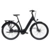 Giant DailyTour E+ 2 LDS D (Nexus - RideControl Dash)