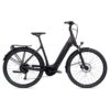 Giant DailyTour E+ 3 LDS (RideDash Evo)
