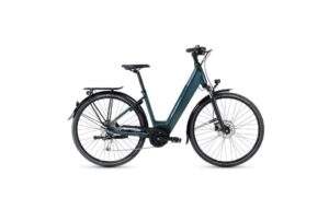 Peugeot eC01 Powertube D9 Performance