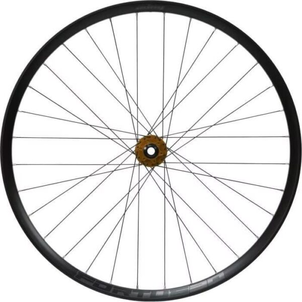 Roue Arrière Hope Fortus 30W Pro 5 E-bike 29
