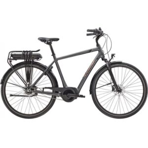 Trek District+ 1 Shimano Nexus 7V Grey 2022