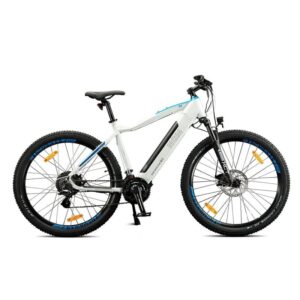 VTT électrique NCM M3