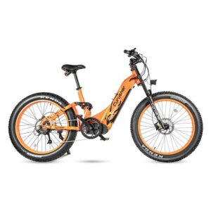 Vélo électrique Cyrusher Trax